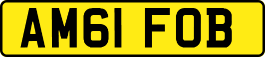 AM61FOB