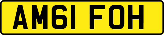 AM61FOH