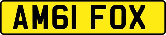 AM61FOX