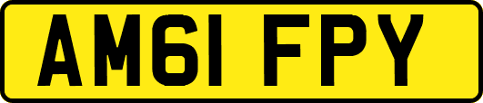 AM61FPY
