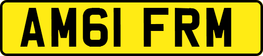 AM61FRM