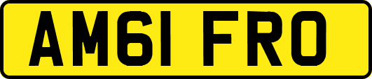 AM61FRO