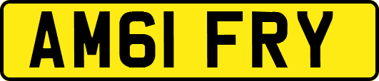 AM61FRY