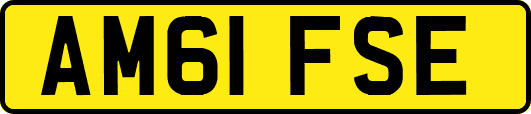 AM61FSE