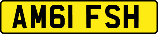 AM61FSH