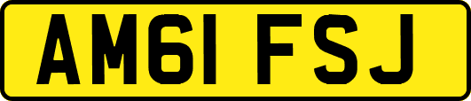 AM61FSJ