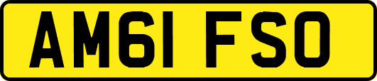 AM61FSO