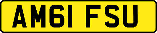 AM61FSU