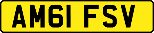 AM61FSV