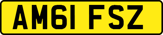 AM61FSZ