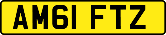 AM61FTZ
