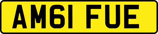 AM61FUE