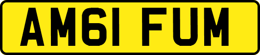 AM61FUM