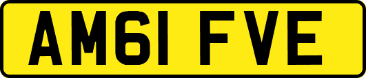 AM61FVE