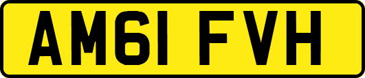 AM61FVH