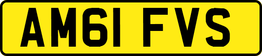 AM61FVS