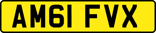 AM61FVX