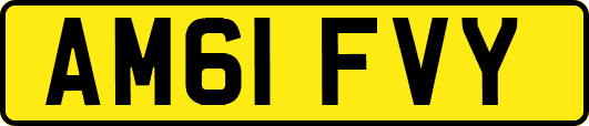 AM61FVY
