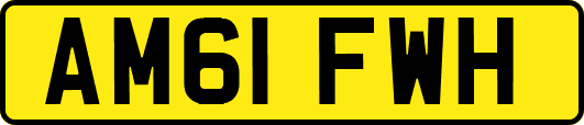 AM61FWH