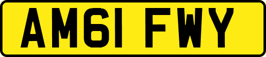 AM61FWY