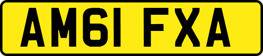 AM61FXA