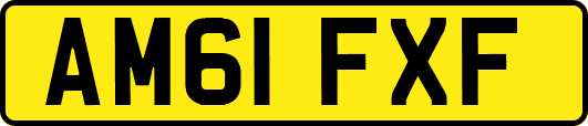 AM61FXF
