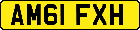 AM61FXH