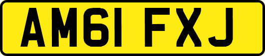AM61FXJ