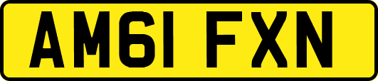 AM61FXN