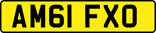 AM61FXO