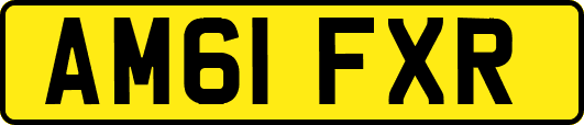 AM61FXR