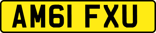 AM61FXU
