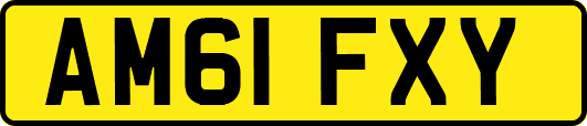AM61FXY