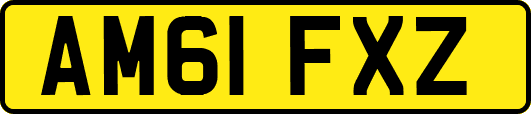 AM61FXZ