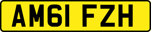 AM61FZH