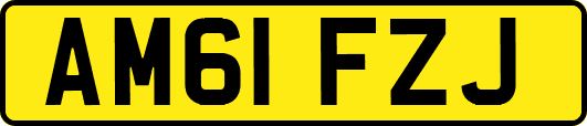 AM61FZJ