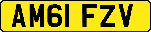 AM61FZV