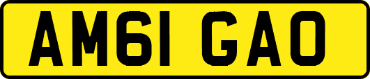 AM61GAO