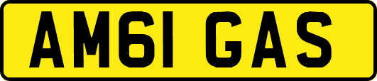 AM61GAS