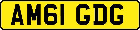 AM61GDG