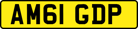 AM61GDP