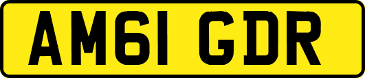 AM61GDR