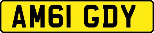 AM61GDY
