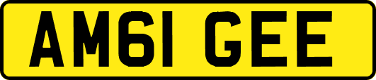 AM61GEE