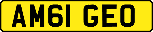 AM61GEO