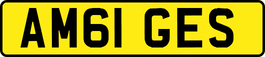 AM61GES