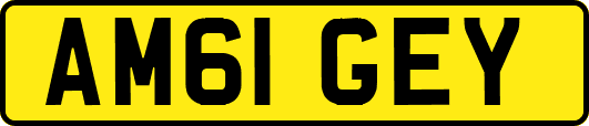 AM61GEY