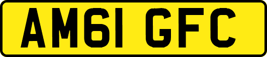 AM61GFC