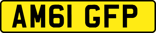 AM61GFP
