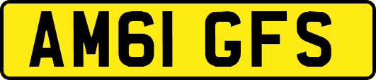 AM61GFS